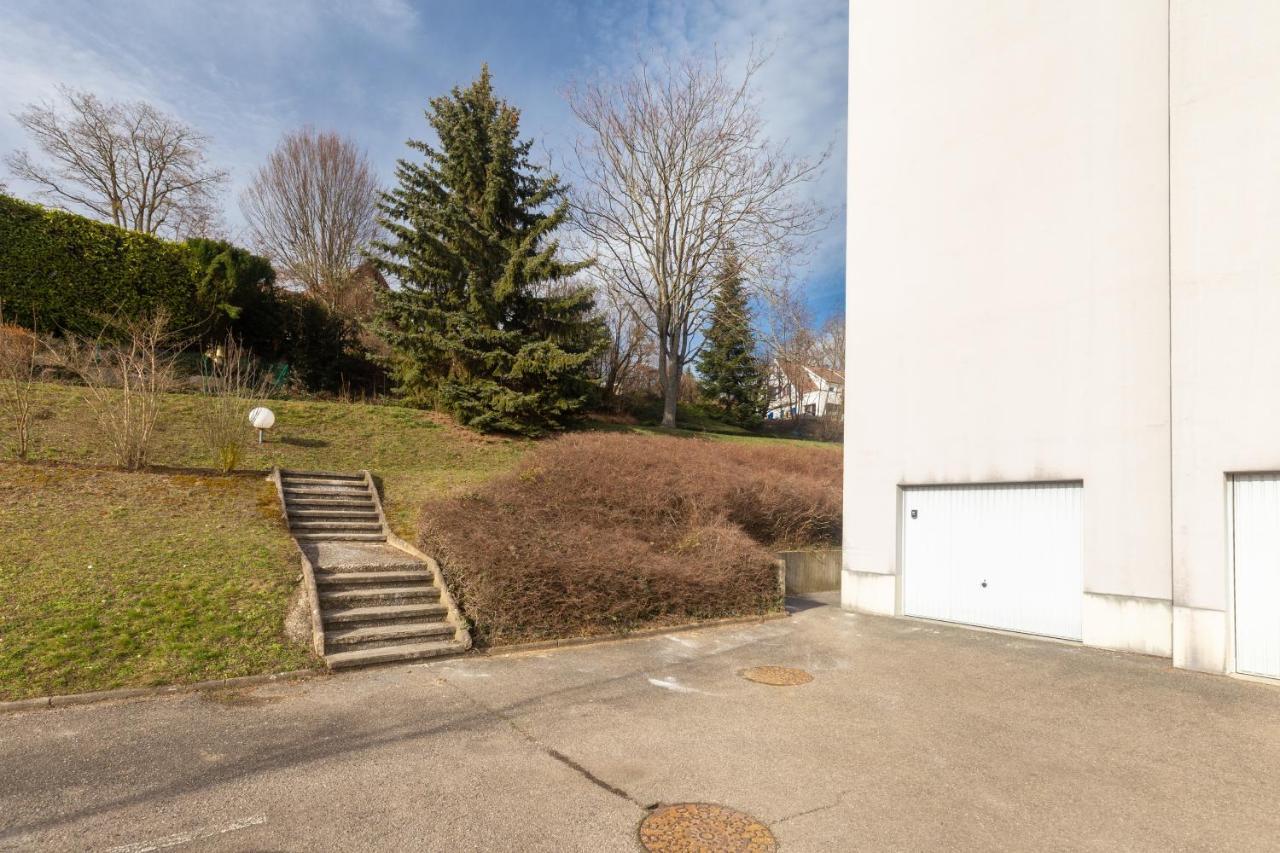 Travel Homes - Le Rebberg, Superbe Vue A Mulhouse Exterior photo